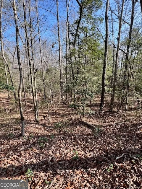 0 Edgewood TRL Elberton, GA 30635