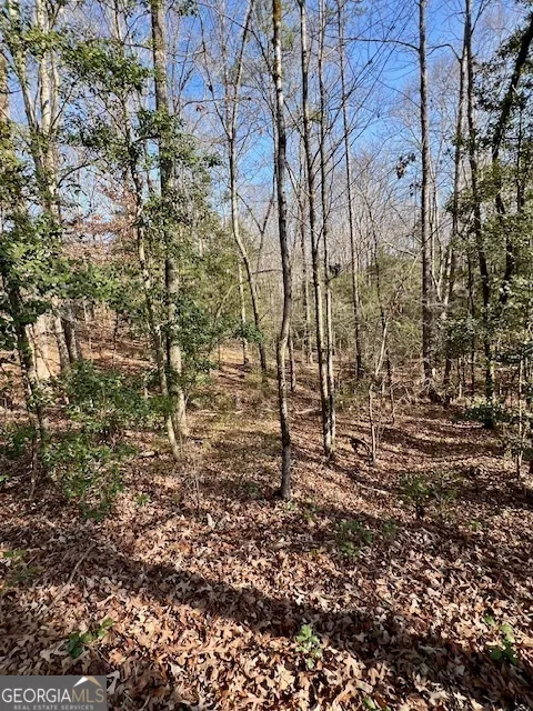 0 Edgewood TRL Elberton, GA 30635