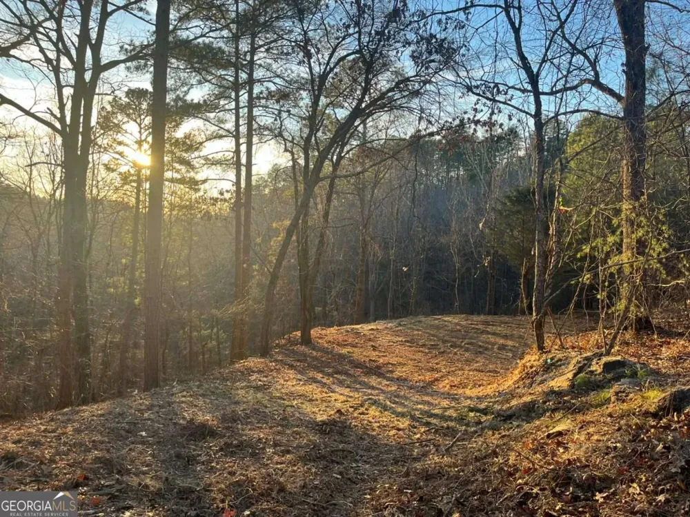 331 Paladin DR NE Ranger, GA 30734