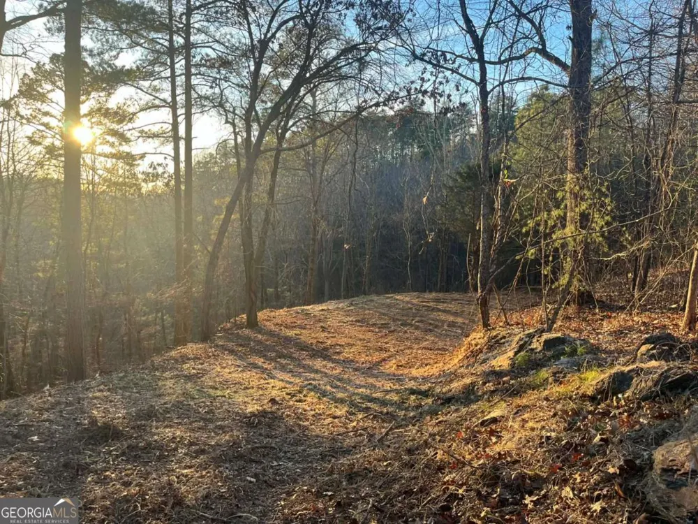 331 Paladin DR NE Ranger, GA 30734