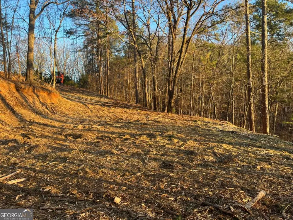 331 Paladin DR NE Ranger, GA 30734