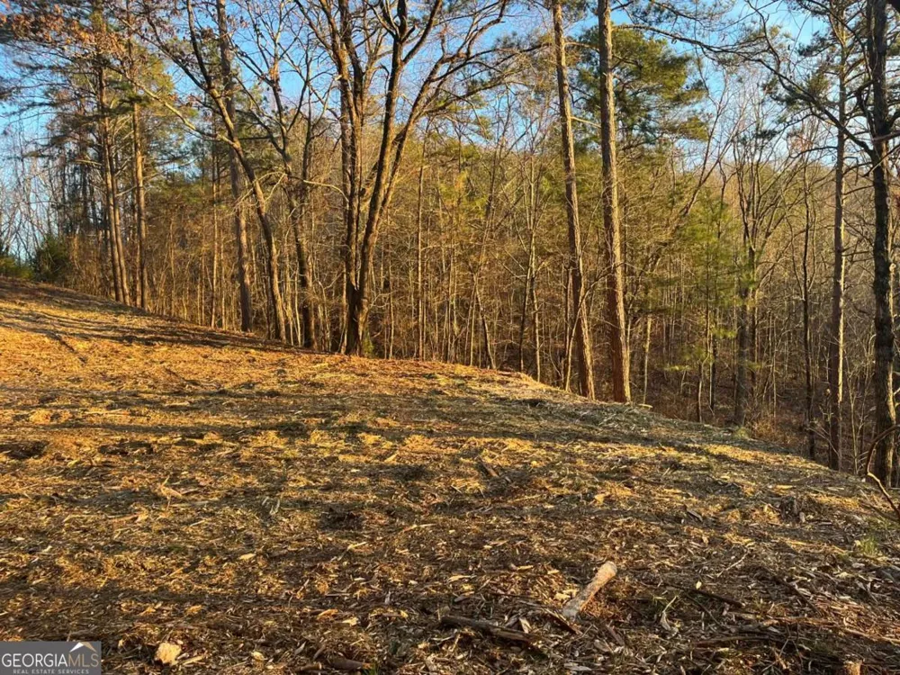 331 Paladin DR NE Ranger, GA 30734