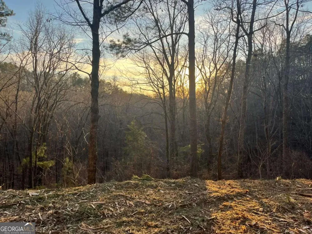 331 Paladin DR NE Ranger, GA 30734