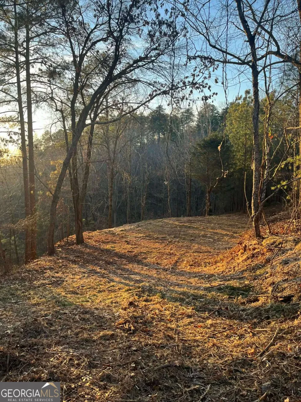 331 Paladin DR NE Ranger, GA 30734