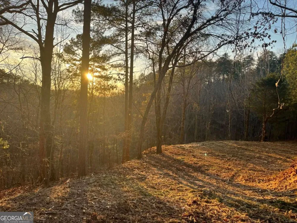 331 Paladin DR NE Ranger, GA 30734