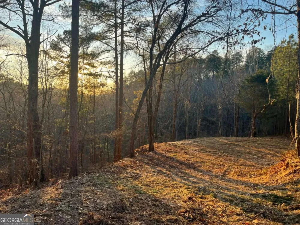 331 Paladin DR NE Ranger, GA 30734