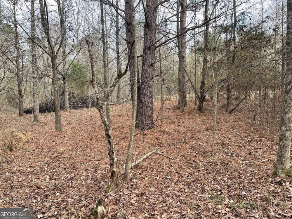 884 Jackson Trail RD Winder, GA 30680