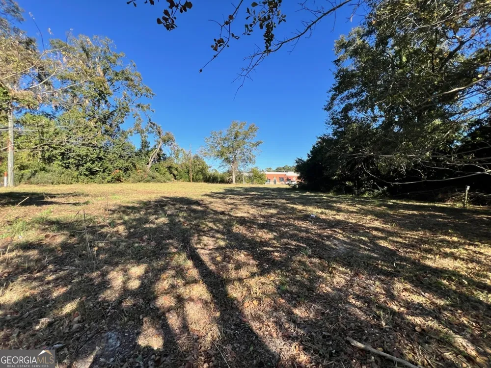 723 1/2 S Main ST Statesboro, GA 30458