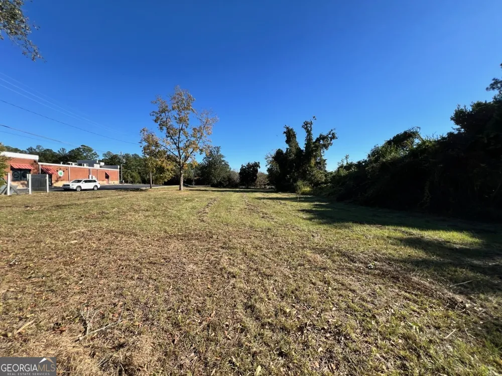 723 1/2 S Main ST Statesboro, GA 30458
