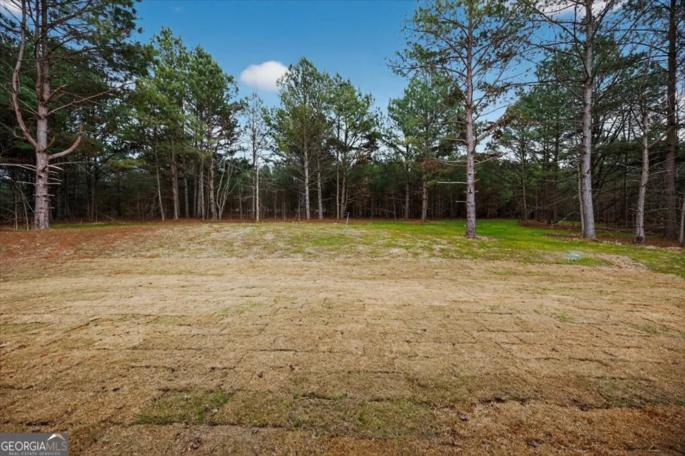 98 Mud Bridge RD The Rock, GA 30285