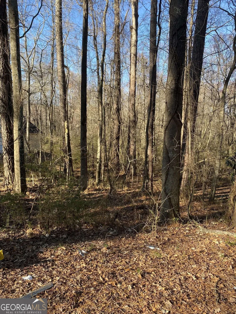0 Valley DR Stockbridge, GA 30281