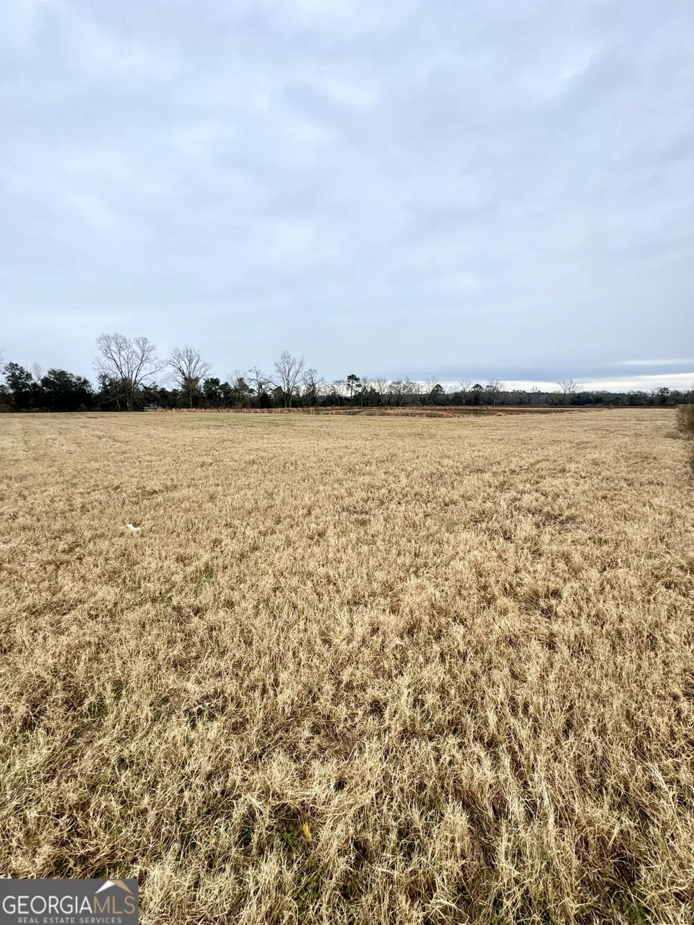 0 R P Miller RD Brooklet, GA 30415