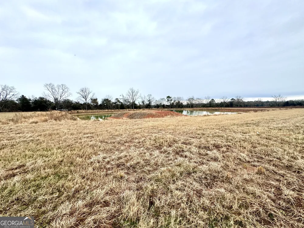 0 R P Miller RD Brooklet, GA 30415