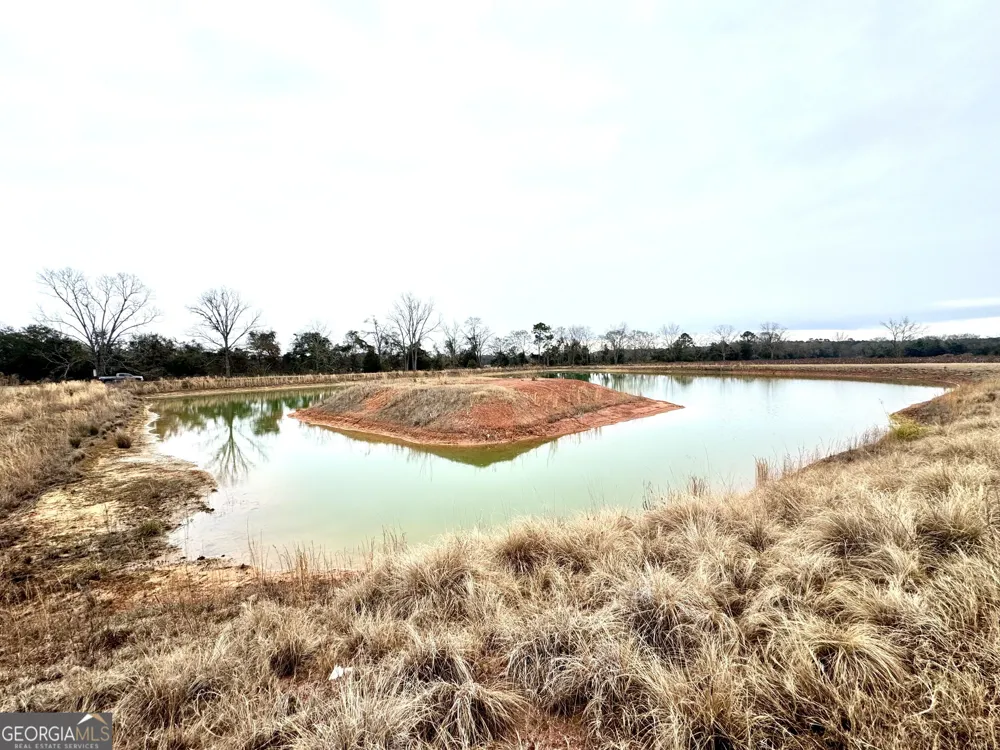 0 R P Miller RD Brooklet, GA 30415