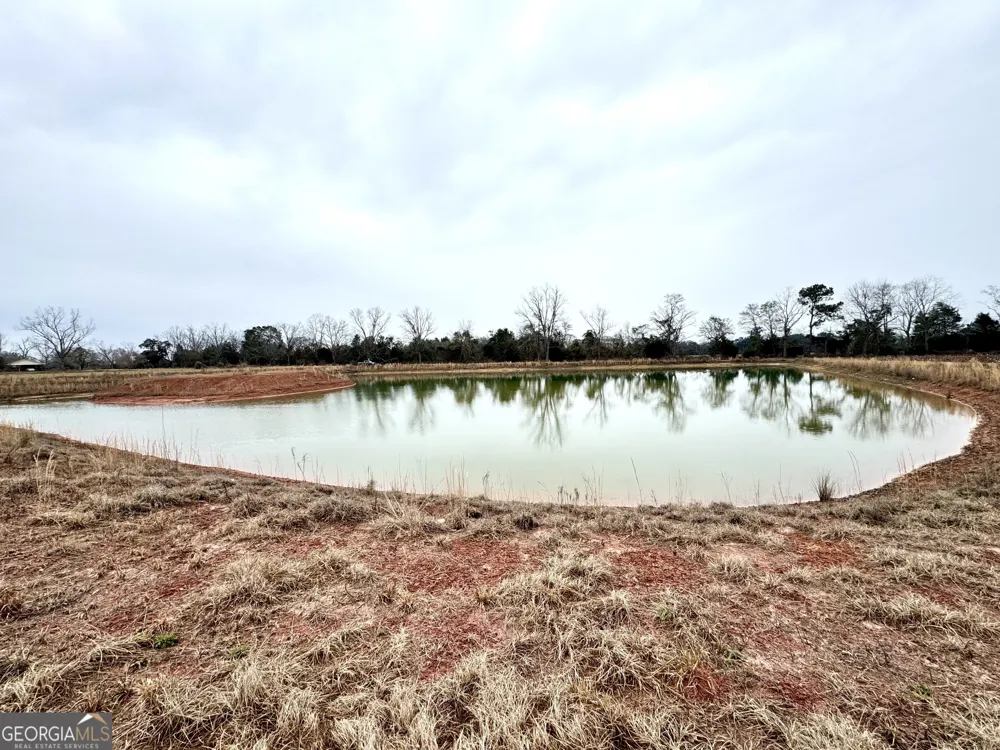 0 R P Miller RD Brooklet, GA 30415