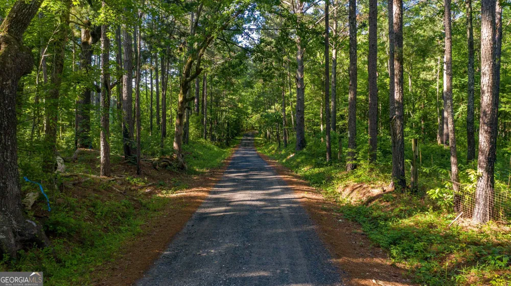 0 Padgett RD Senoia, GA 30276