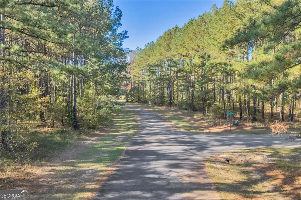 LOT 29 Sweet Magnolia CIR Dublin, GA 31021