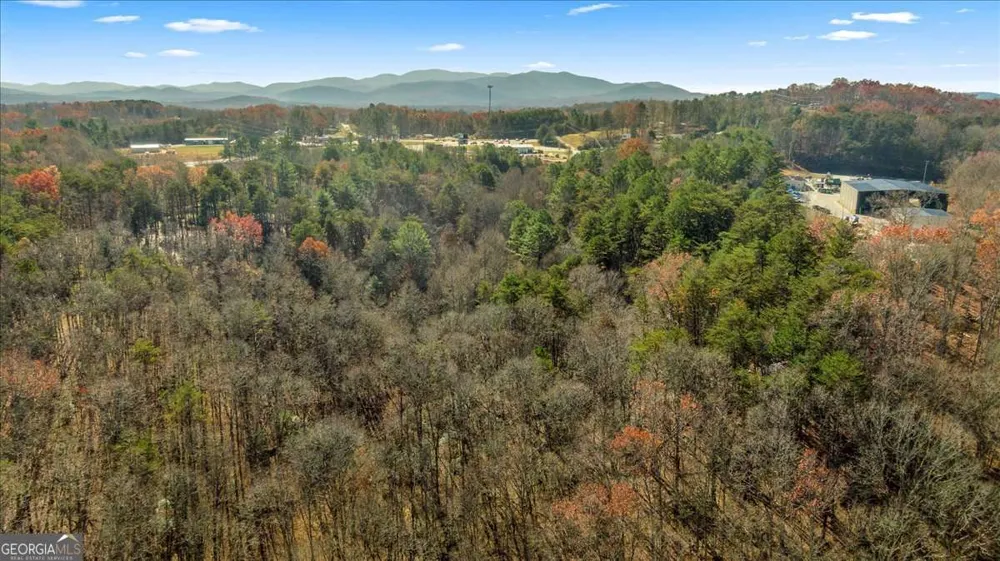 9.44 ACRES Lakewood HWY Mineral Bluff, GA 30559