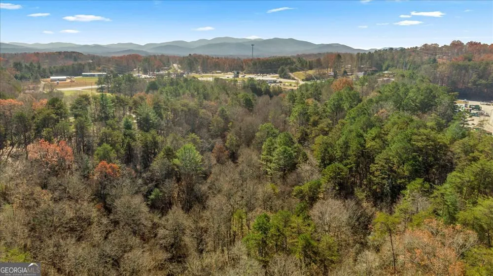 9.44 ACRES Lakewood HWY Mineral Bluff, GA 30559