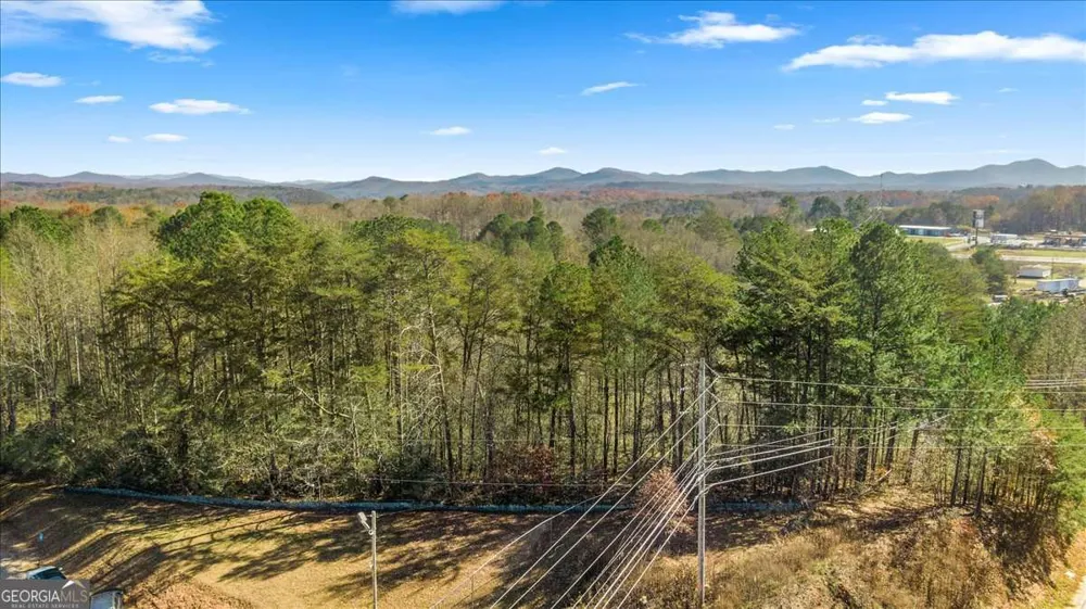 9.44 ACRES Lakewood HWY Mineral Bluff, GA 30559