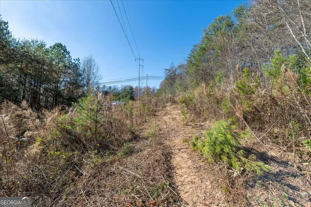 9.44 ACRES Lakewood HWY Mineral Bluff, GA 30559
