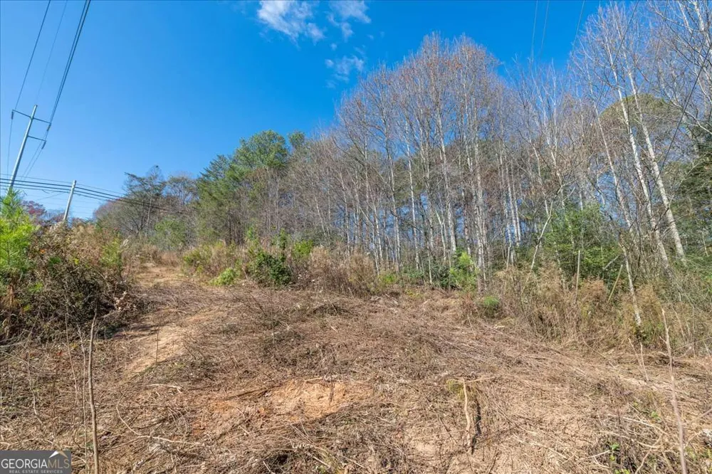 9.44 ACRES Lakewood HWY Mineral Bluff, GA 30559