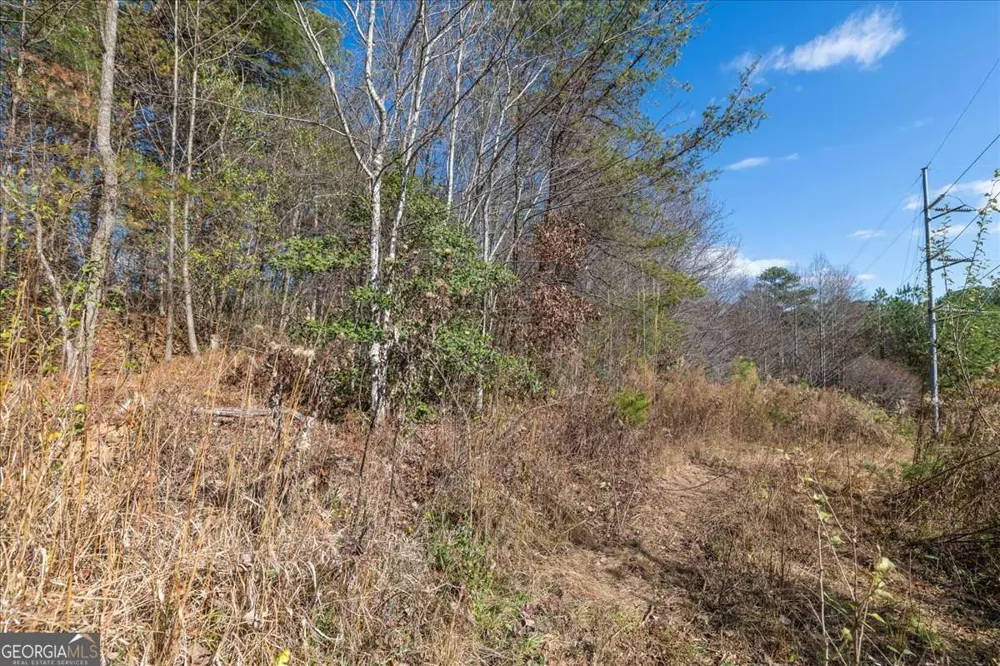 9.44 ACRES Lakewood HWY Mineral Bluff, GA 30559
