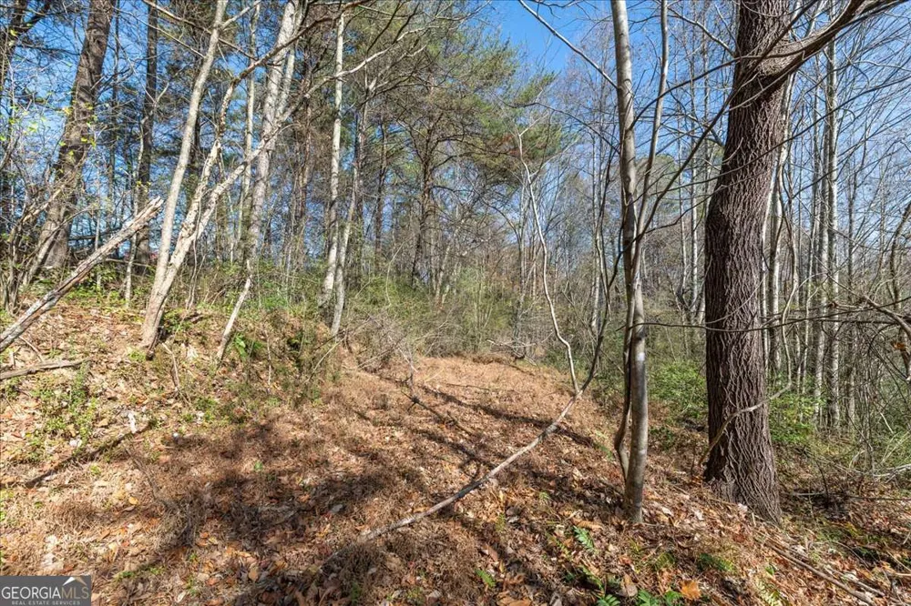 9.44 ACRES Lakewood HWY Mineral Bluff, GA 30559
