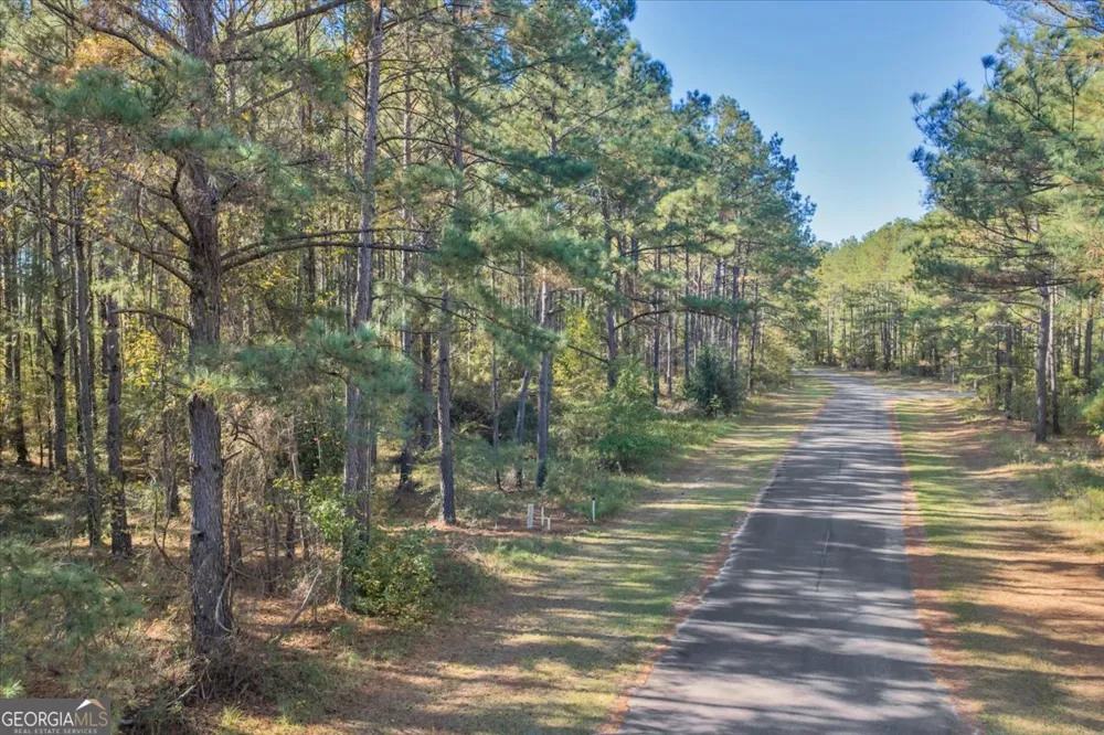 LOT 41 Sweet Magnolia CIR Dublin, GA 31021