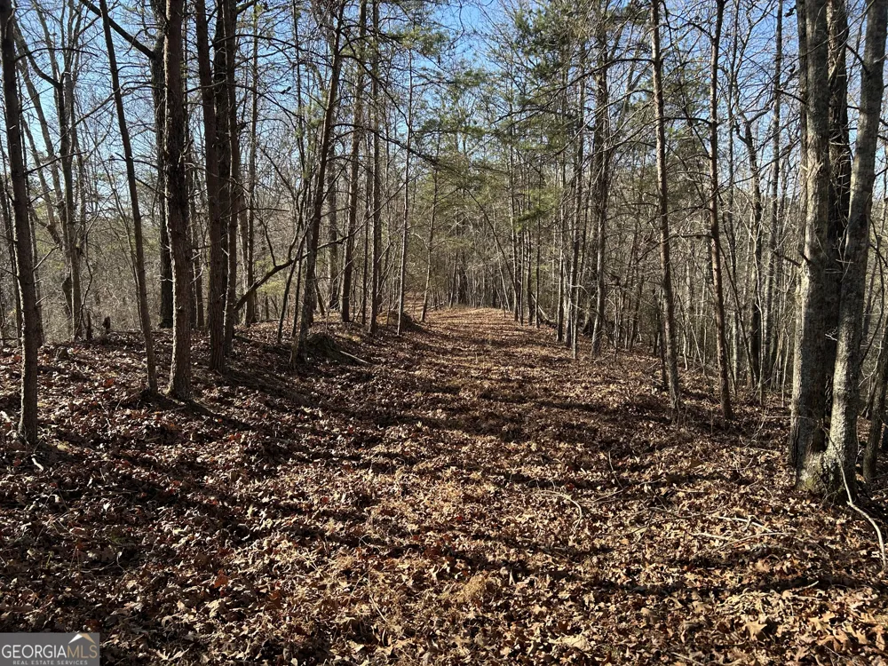 0 Twin River Orchard RD Demorest, GA 30535