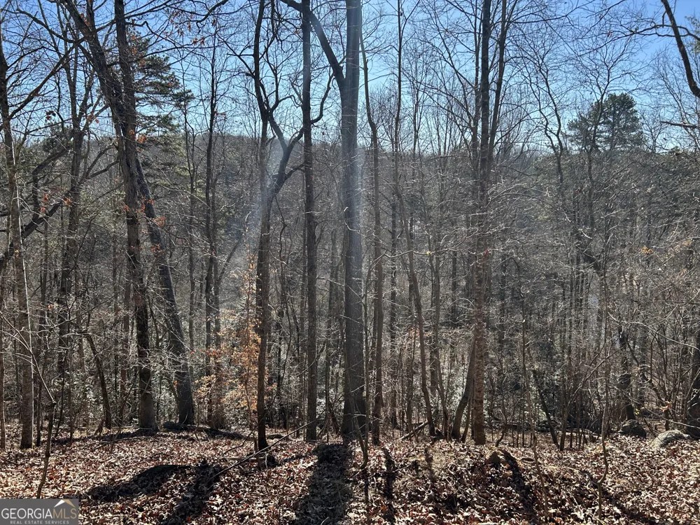0 Twin River Orchard RD Demorest, GA 30535