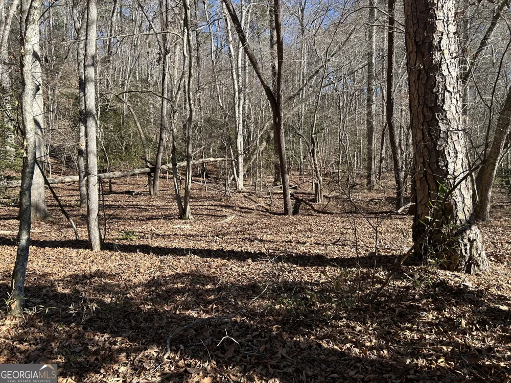 0 Twin River Orchard RD Demorest, GA 30535