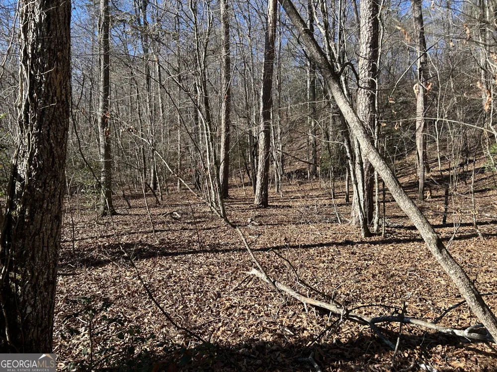 0 Twin River Orchard RD Demorest, GA 30535
