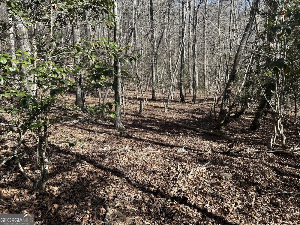 0 Twin River Orchard RD Demorest, GA 30535
