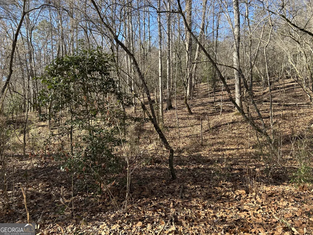 0 Twin River Orchard RD Demorest, GA 30535