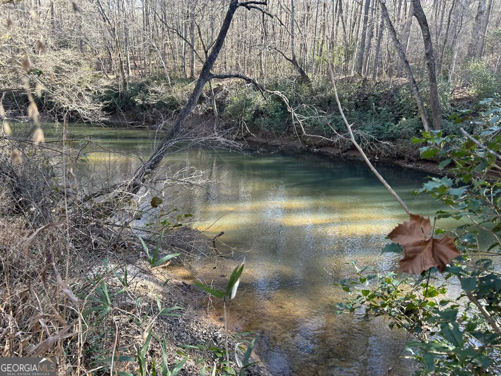 0 Twin River Orchard RD Demorest, GA 30535