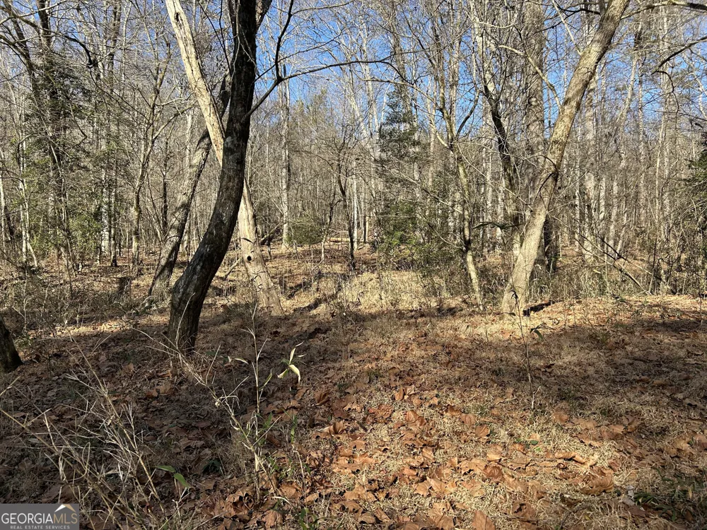 0 Twin River Orchard RD Demorest, GA 30535
