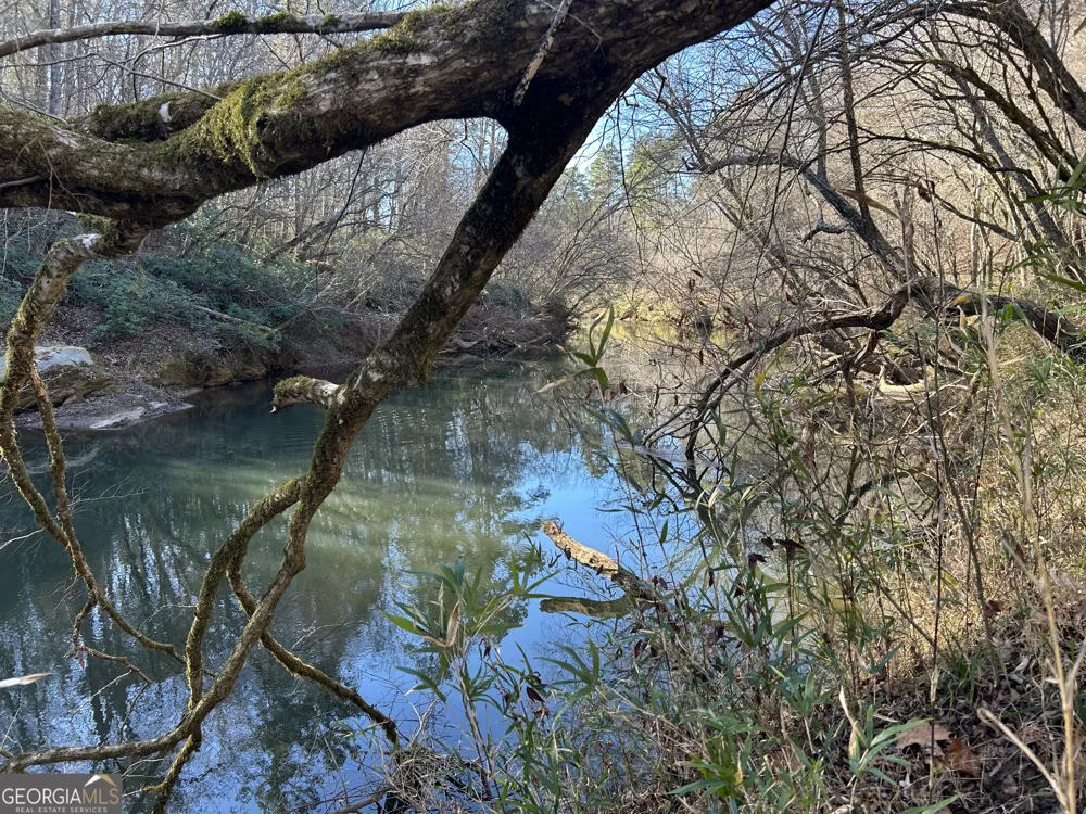 0 Twin River Orchard RD Demorest, GA 30535