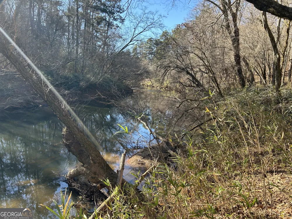 0 Twin River Orchard RD Demorest, GA 30535