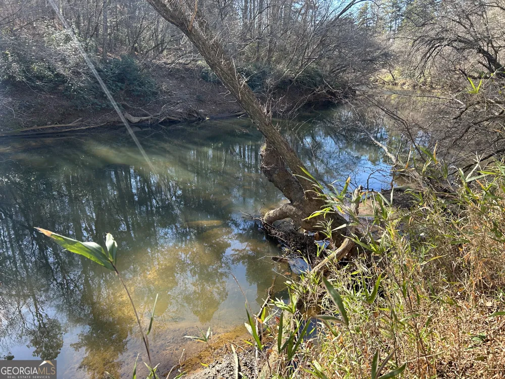 0 Twin River Orchard RD Demorest, GA 30535