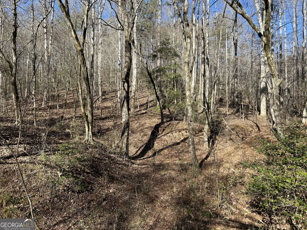 0 Twin River Orchard RD Demorest, GA 30535