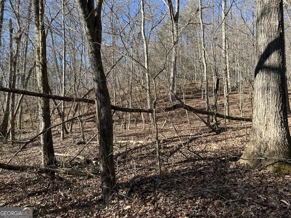 0 Twin River Orchard RD Demorest, GA 30535