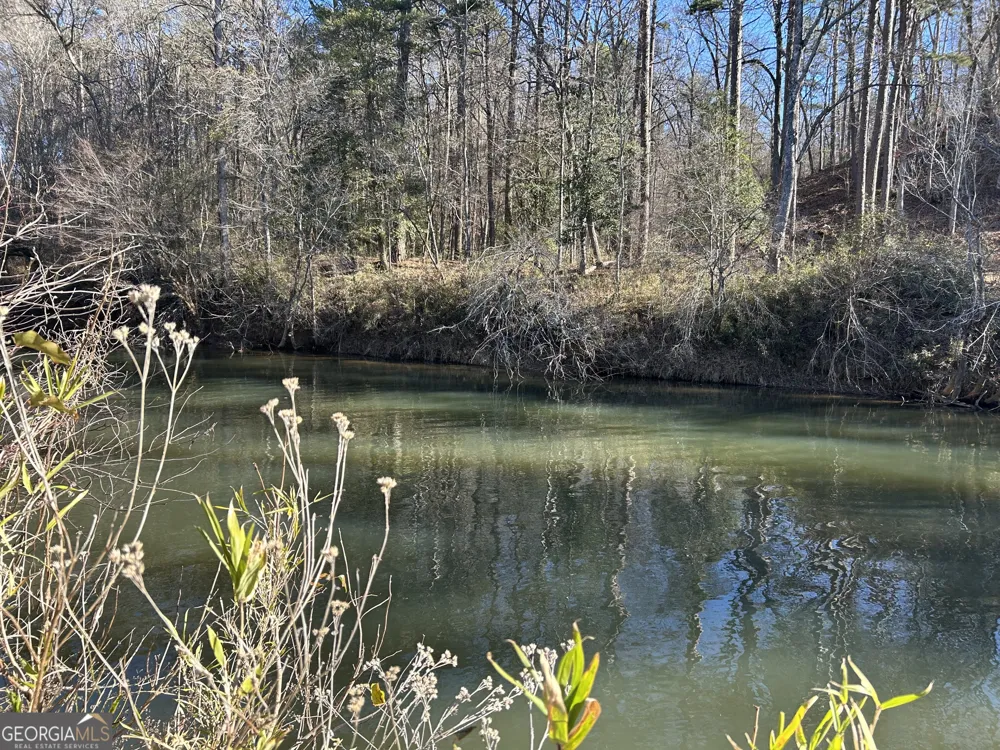 0 Twin River Orchard RD Demorest, GA 30535