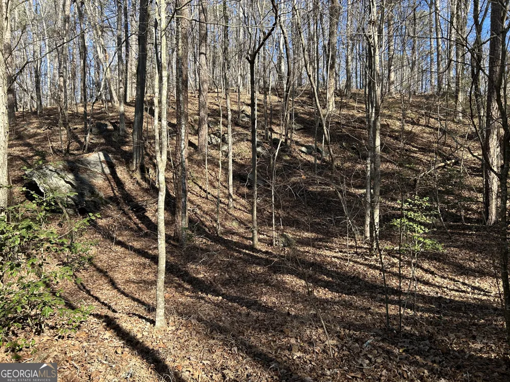 0 Twin River Orchard RD Demorest, GA 30535
