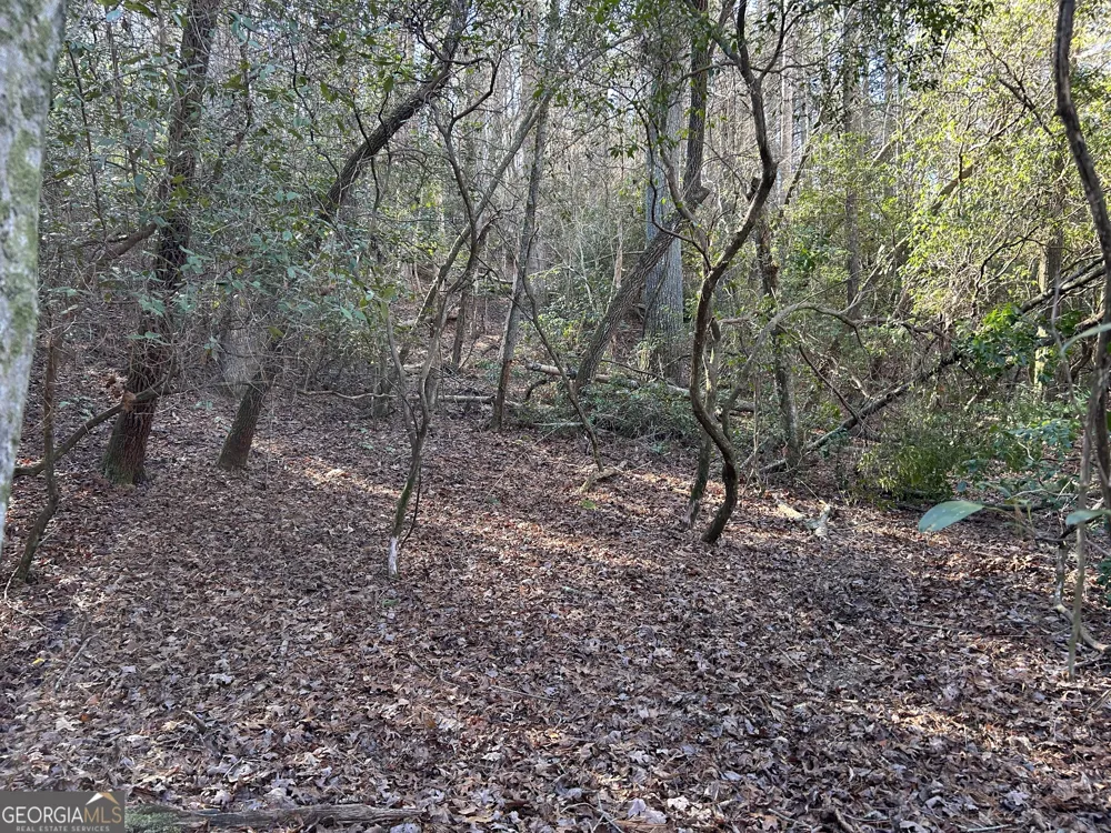 0 Twin River Orchard RD Demorest, GA 30535