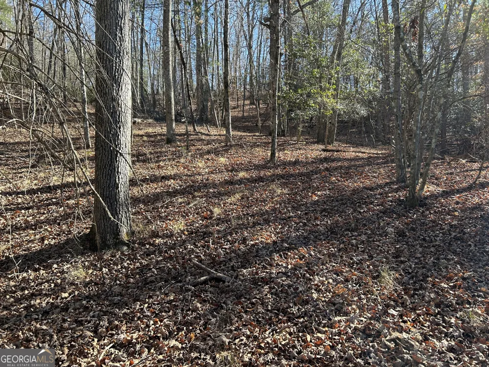 0 Twin River Orchard RD Demorest, GA 30535