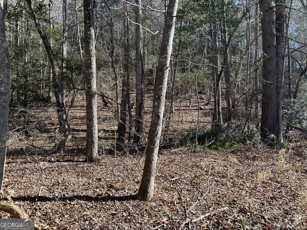 0 Twin River Orchard RD Demorest, GA 30535