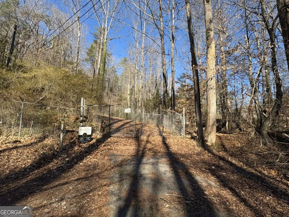 170 Old Gold Mine TRL Helen, GA 30545
