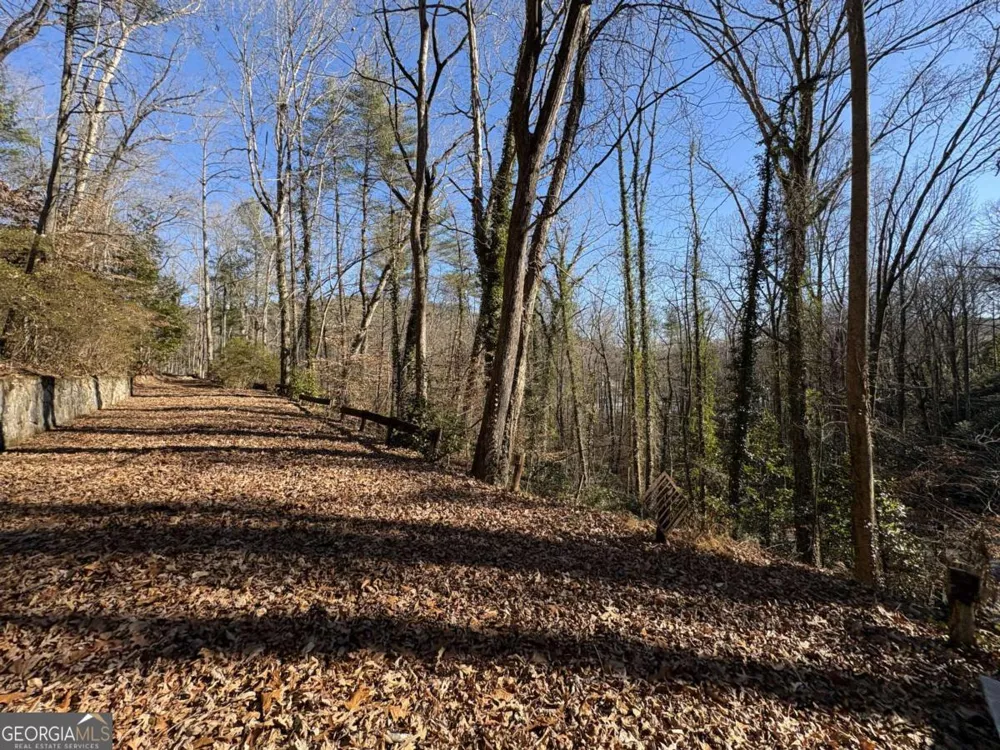 170 Old Gold Mine TRL Helen, GA 30545