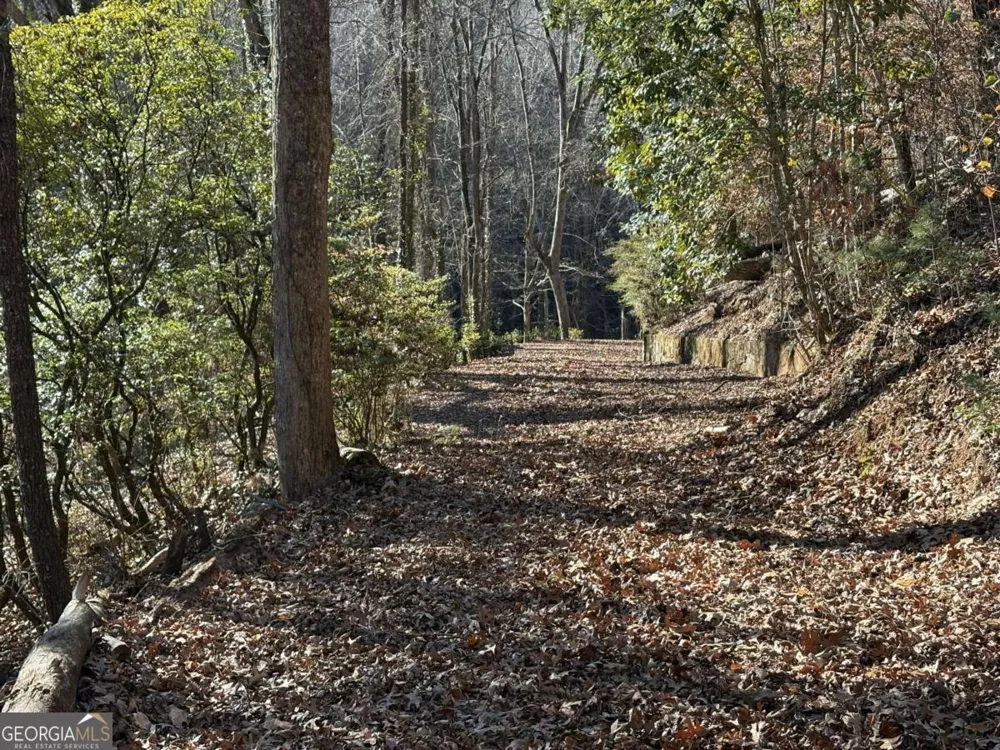 170 Old Gold Mine TRL Helen, GA 30545